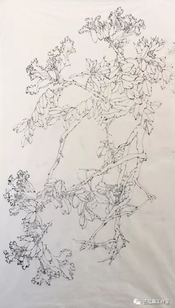 吉瑞森工作室2018年春季写生第一堂课——意笔与线描两种形式的写生《火焰花》